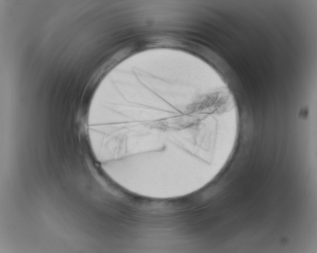 X0000113161241200910161236