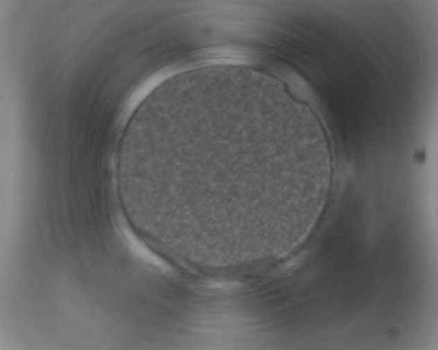 X0000113161243200910161236