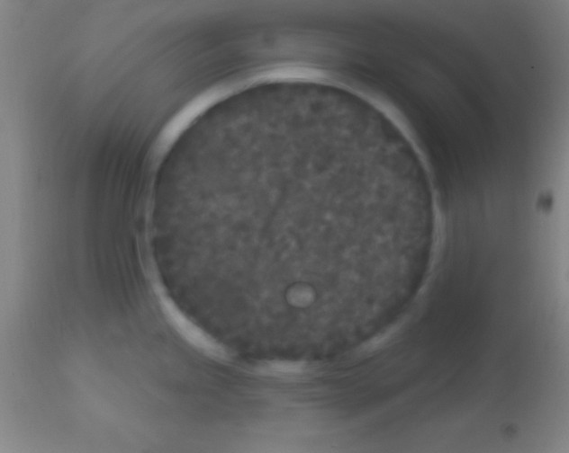 X0000113161245200910161236