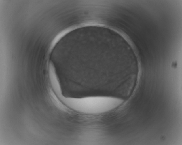 X0000113161246200910161236