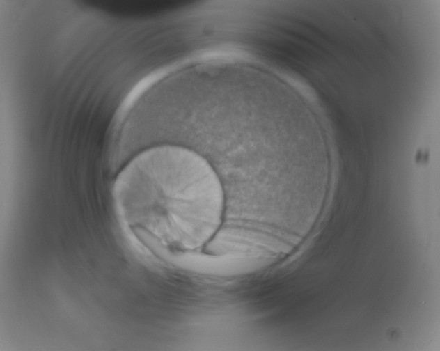 X0000113161248200910161236