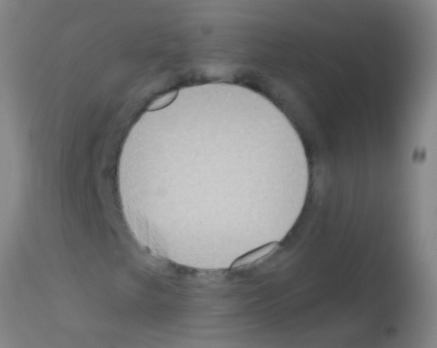 X0000113161249200910161235