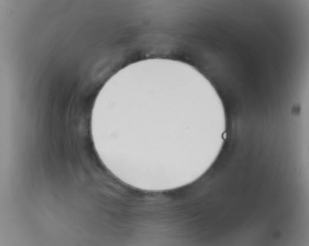 X0000113161250200910161235