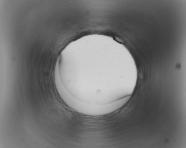 X0000113161252200910161235