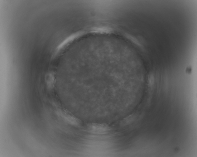 X0000113161254200910161235