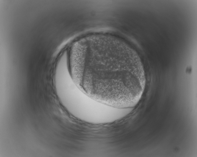 X0000113161256200910161235