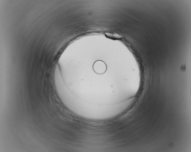 X0000113161257200910161235