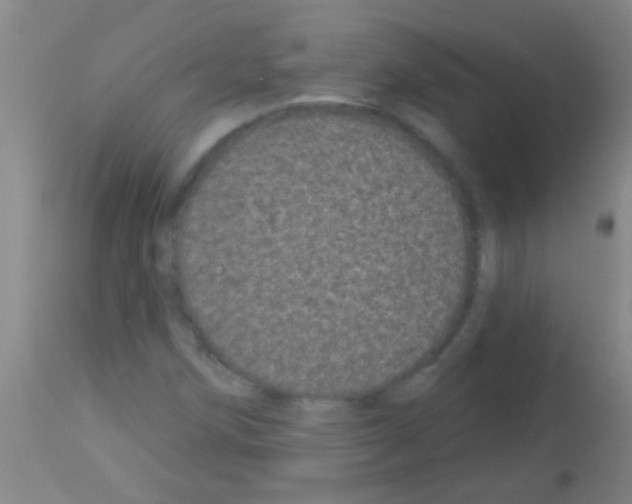 X0000113161258200910161235