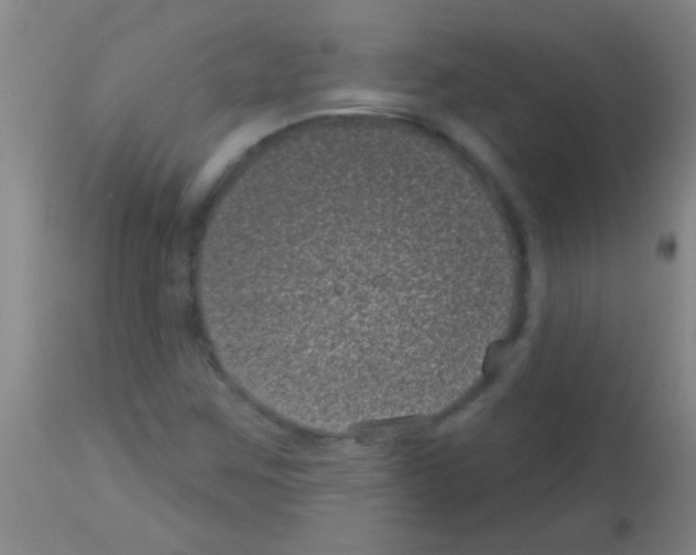 X0000113161259200910161235