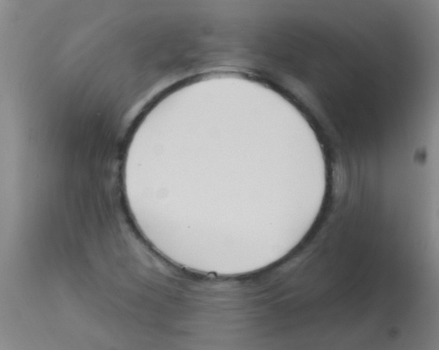 X0000113161260200910161235