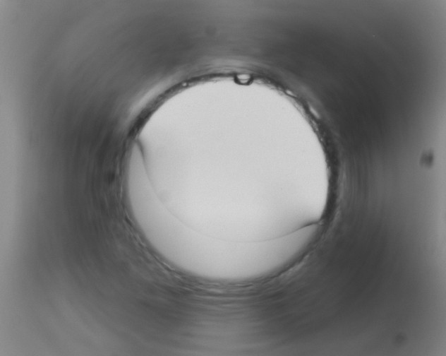 X0000113161261200910161235