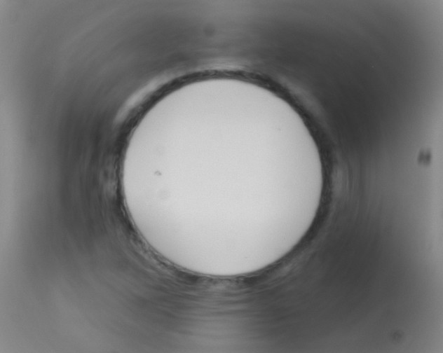 X0000113161262200910161235