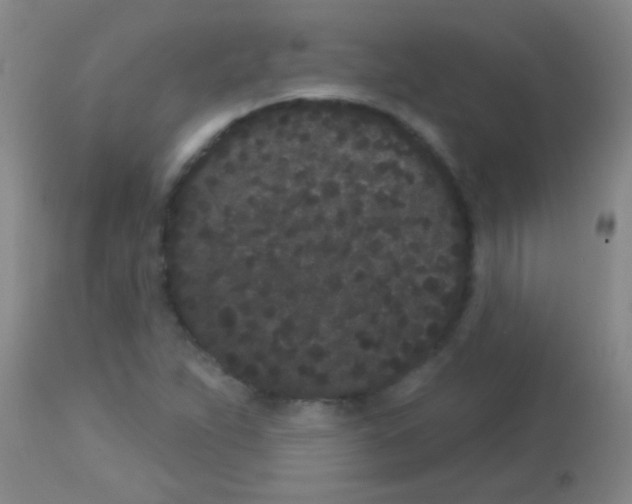 X0000113161263200910161235