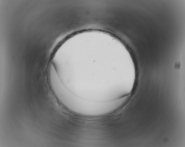 X0000113161264200910161235