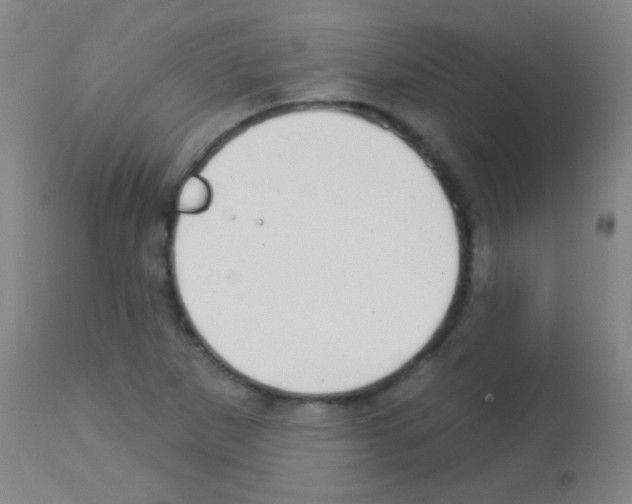 X0000113161265200910161235