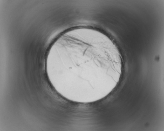 X0000113161267200910161235