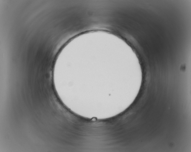 X0000113161268200910161235