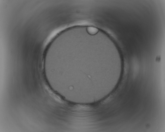 X0000113161270200910161235