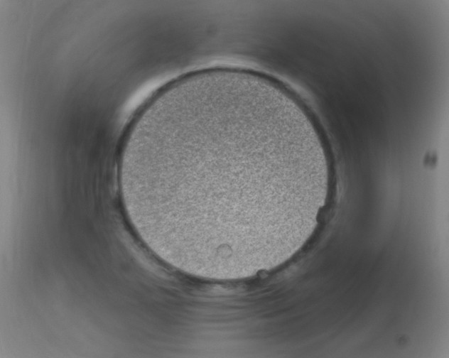 X0000113161271200910161235