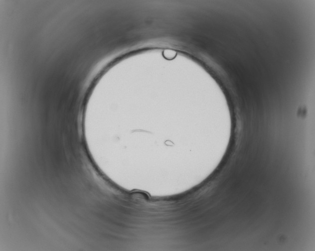 X0000113161272200910161235