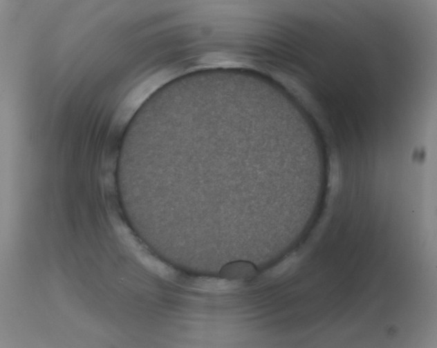 X0000113161273200910161235