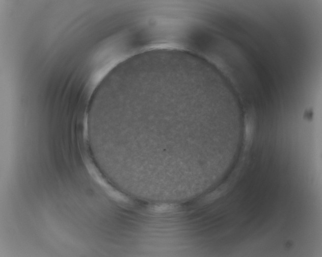 X0000113161274200910161235