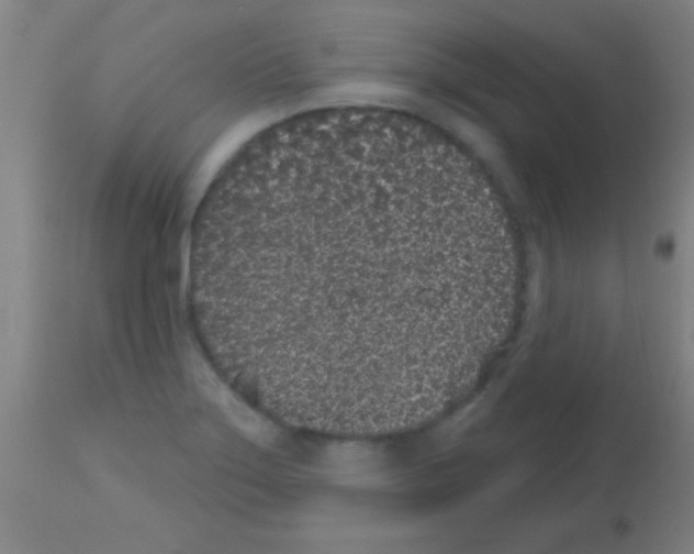 X0000113161275200910161235