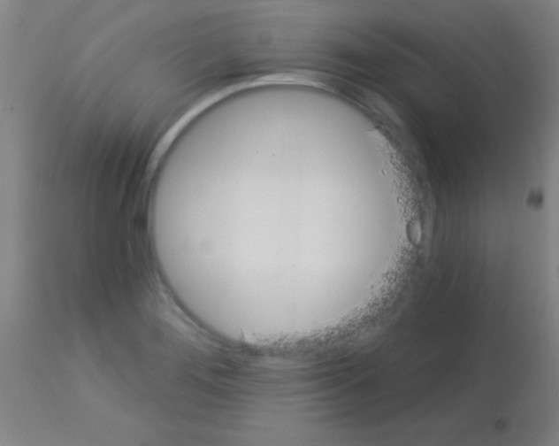 X0000113161276200910161235