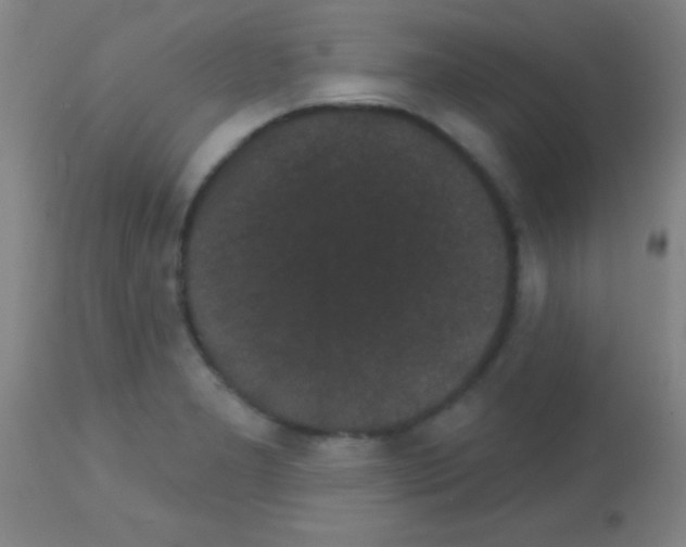 X0000113161277200910161235