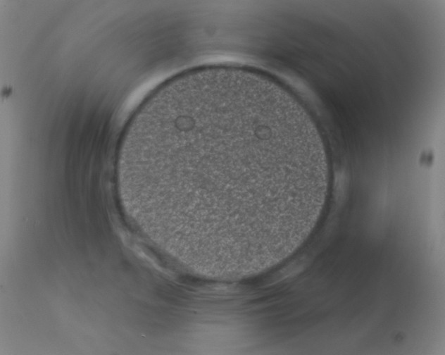 X0000113161279200910161235