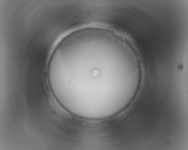 X0000113161280200910161235