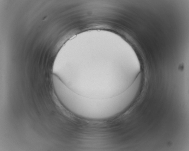 X0000113161281200910161235