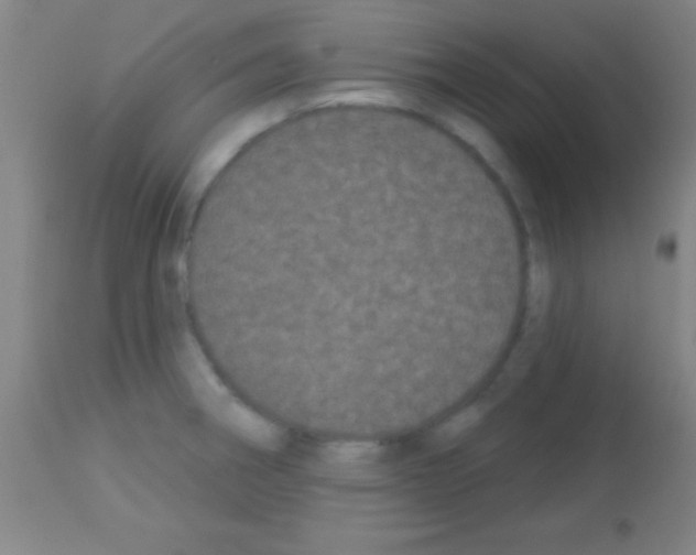 X0000113161282200910161235