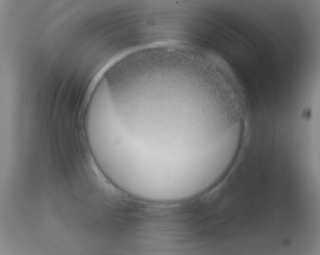 X0000113161284200910161235