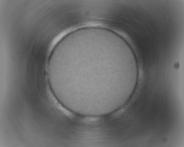 X0000113161286200910161235