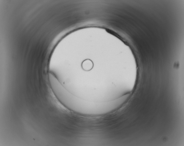 X0000113161288200910161235