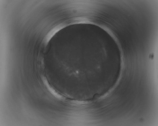 X0000113161289200910161235