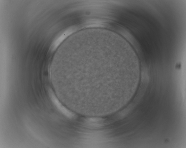 X0000113161290200910161235