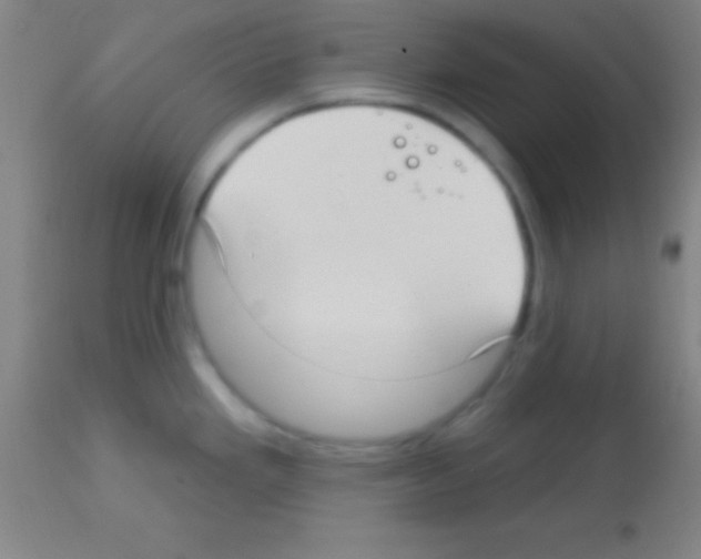 X0000113161293200910161235