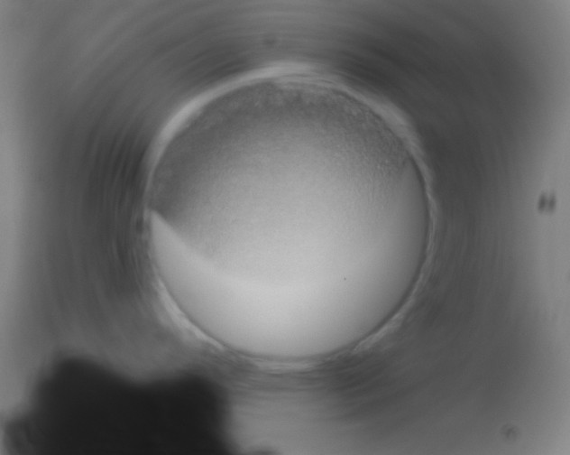 X0000113161296200910161235