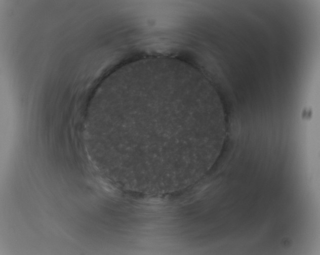 X0000113161297200910161234