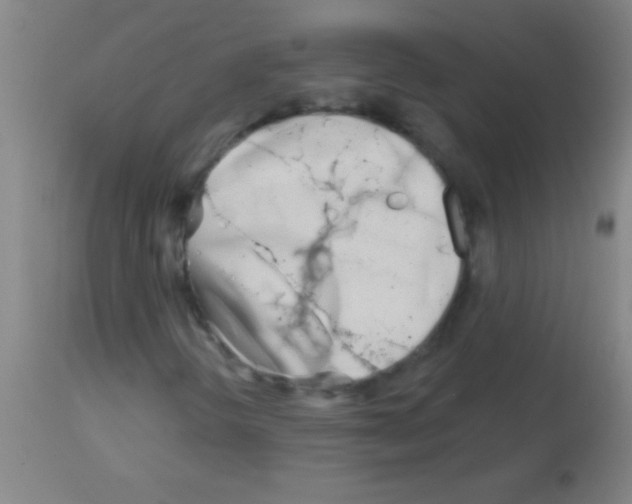 X0000113161298200910161234