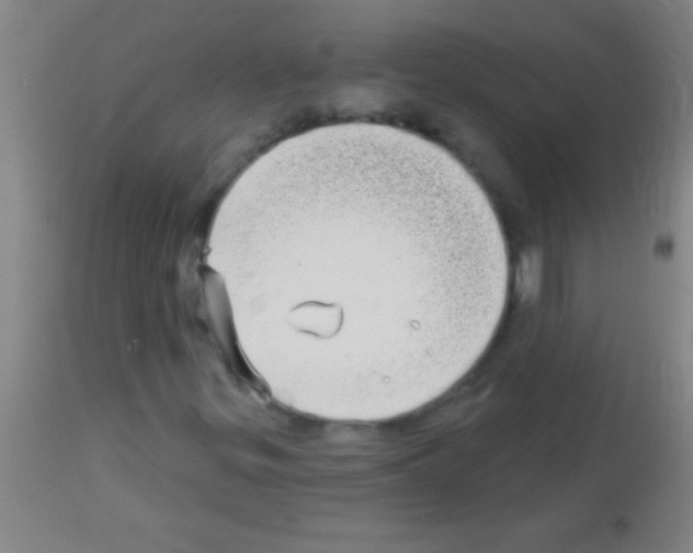 X0000113161299200910161234