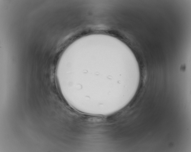 X0000113161301200910161234