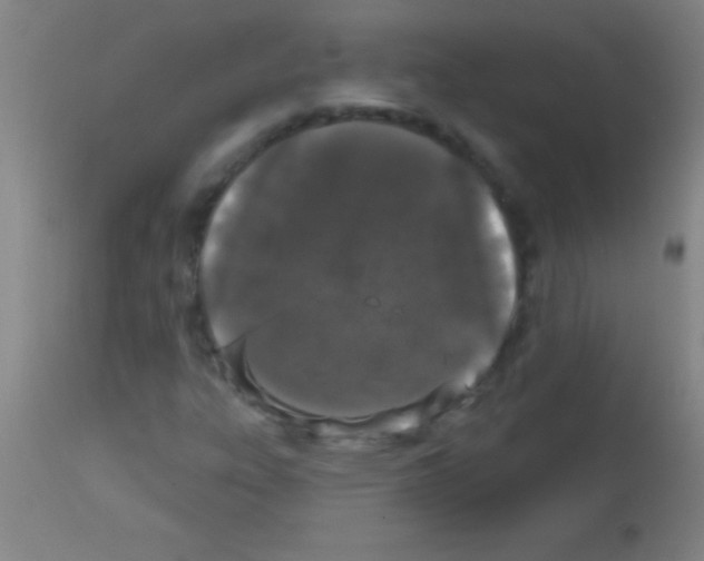 X0000113161303200910161234