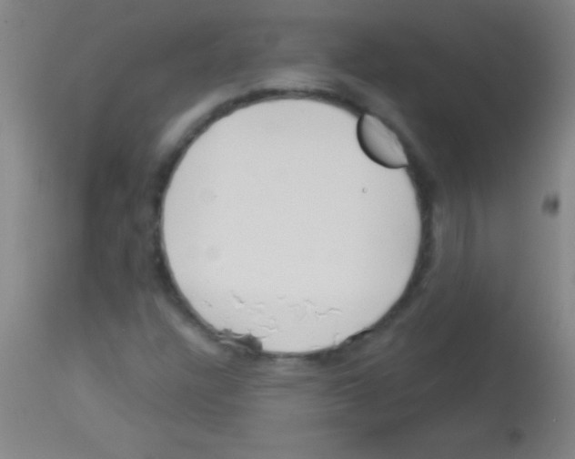 X0000113161304200910161234