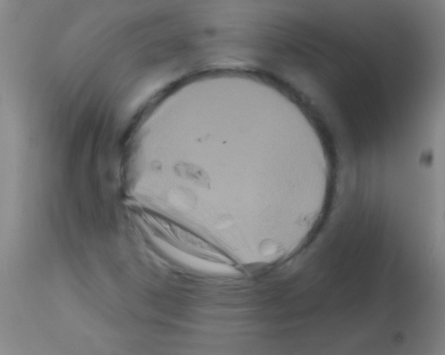 X0000113161306200910161234