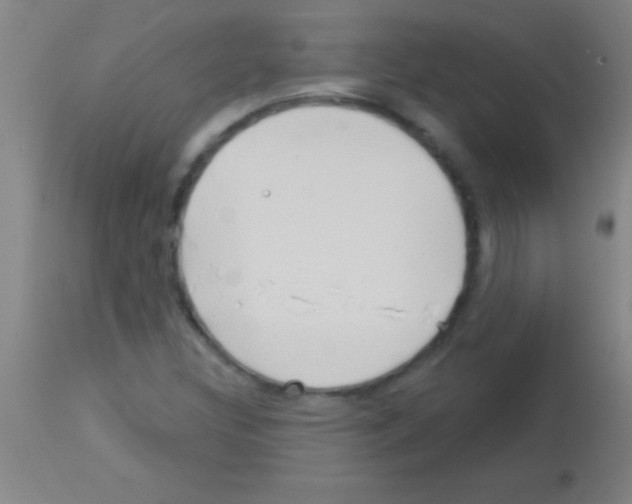 X0000113161308200910161234