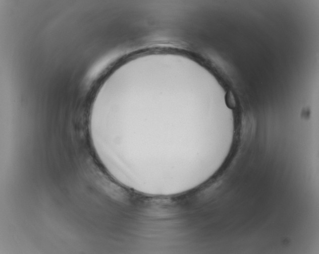 X0000113161310200910161234