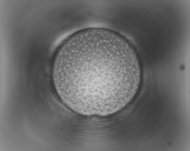 X0000113161311200910161234